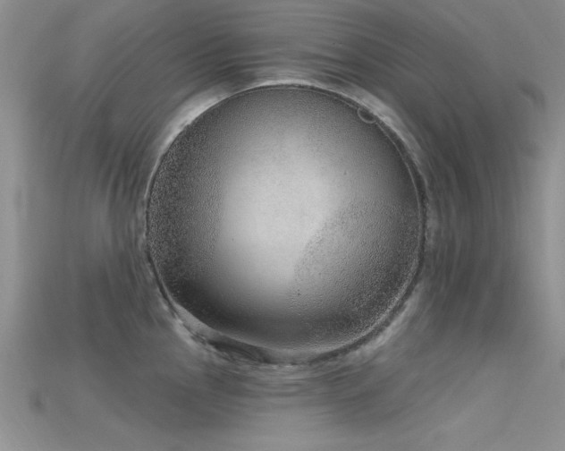 X0000115671145200911121147