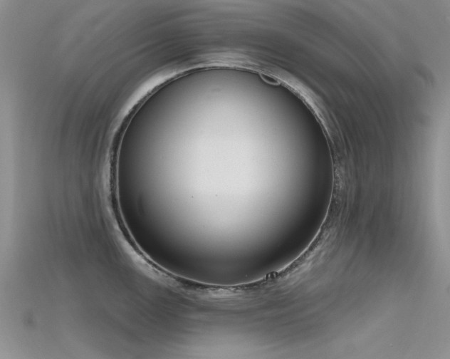 X0000115671147200911121147