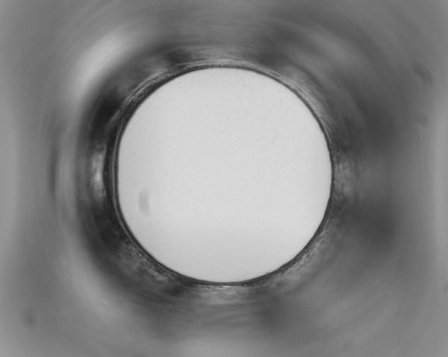 X0000115671150200911121147