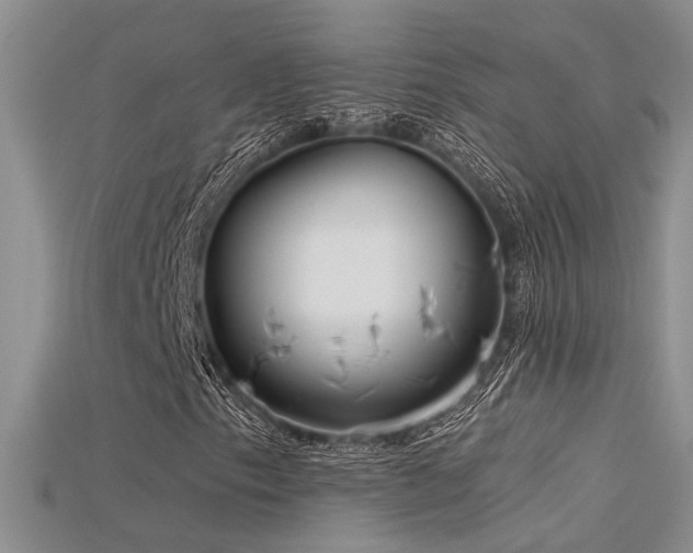 X0000115671153200911121147
