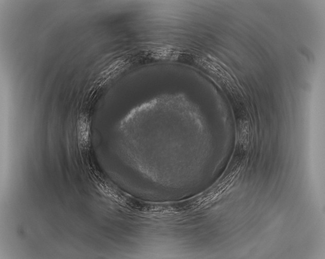 X0000115671154200911121147