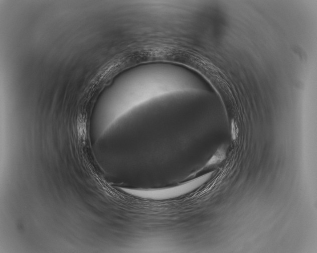 X0000115671155200911121147