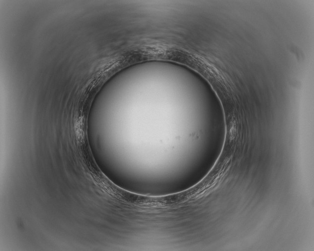 X0000115671156200911121147