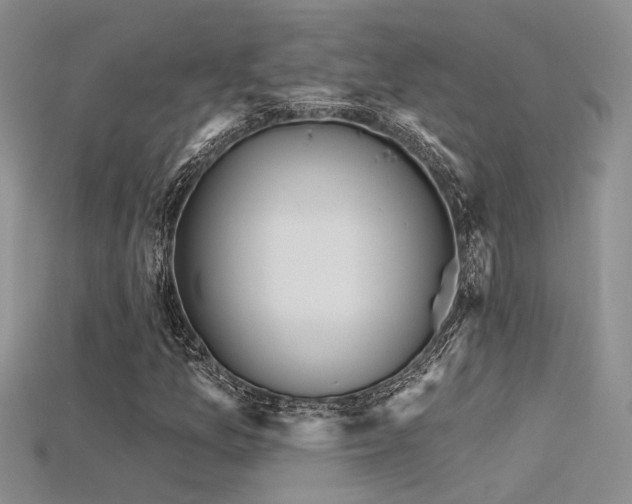 X0000115671157200911121147