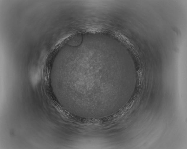 X0000115671158200911121146