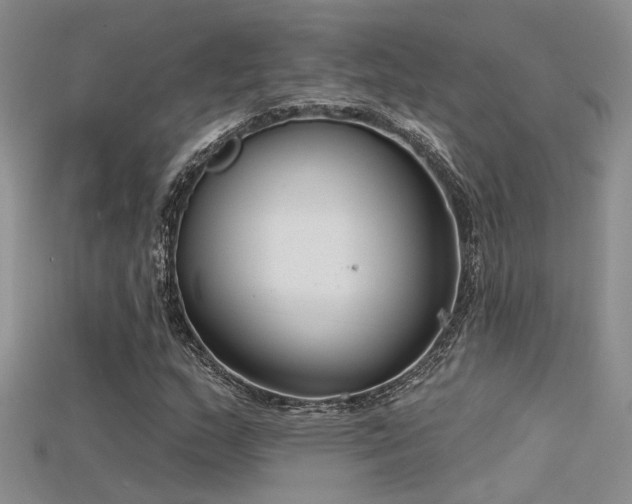 X0000115671159200911121146