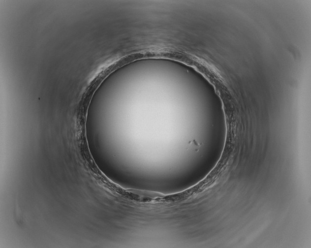 X0000115671160200911121146