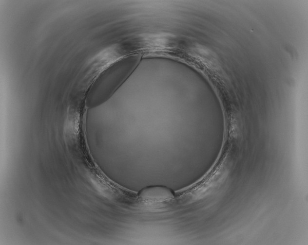 X0000115671161200911121146