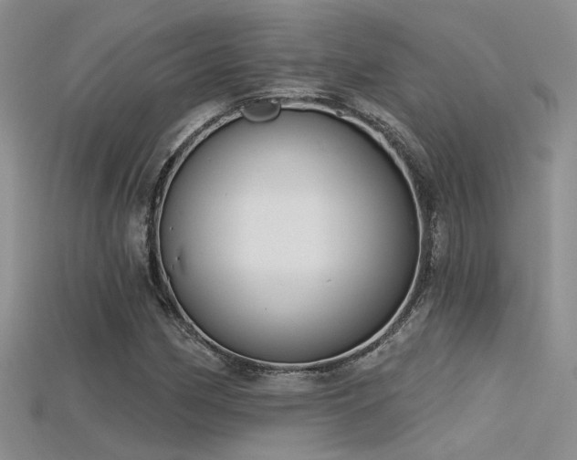 X0000115671162200911121146