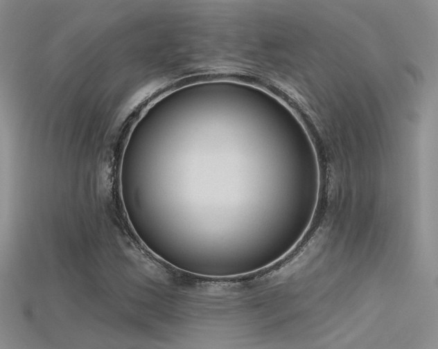 X0000115671163200911121146