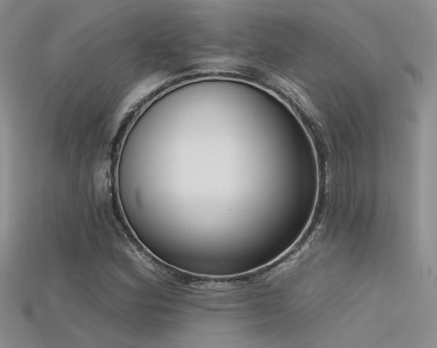 X0000115671164200911121146