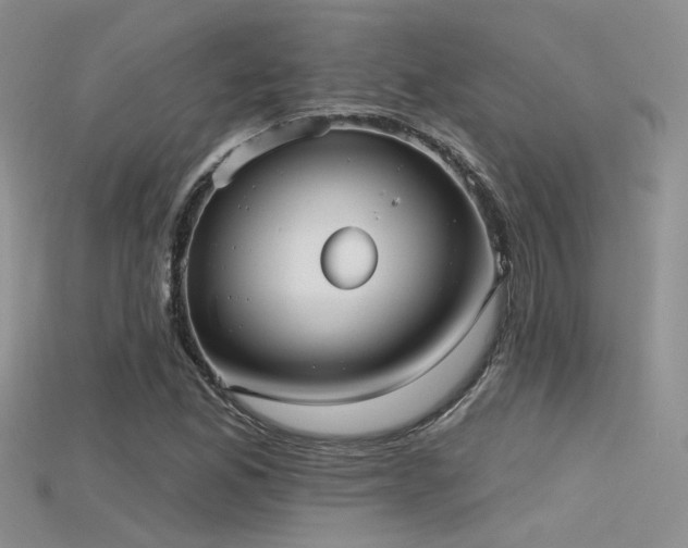 X0000115671165200911121146