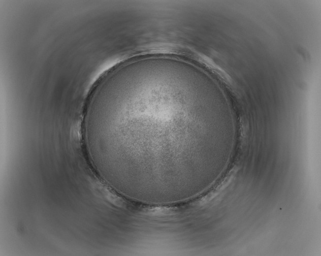 X0000115671166200911121146