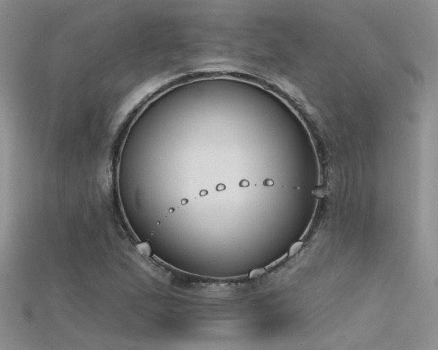 X0000115671167200911121146