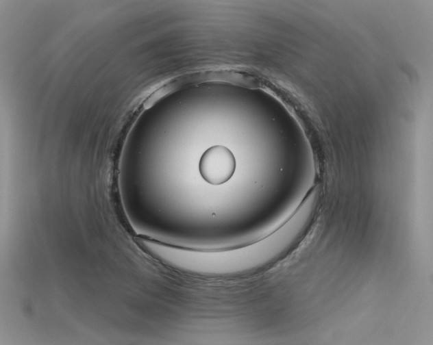 X0000115671169200911121146