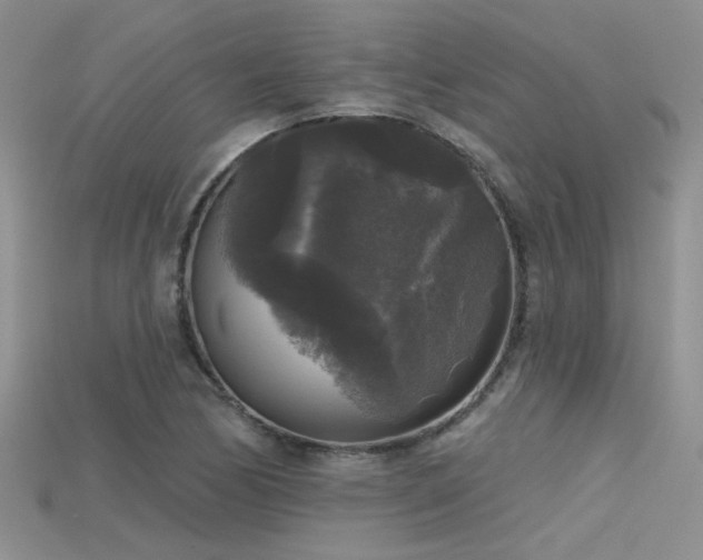 X0000115671170200911121146