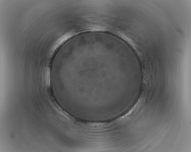 X0000115671171200911121146