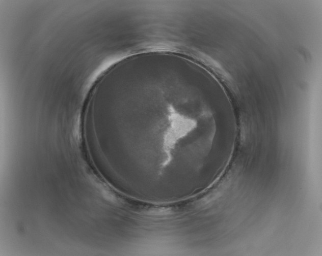 X0000115671174200911121146