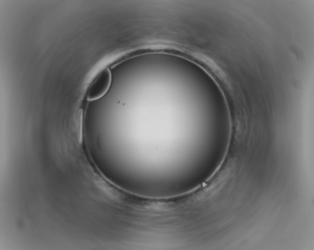X0000115671175200911121146