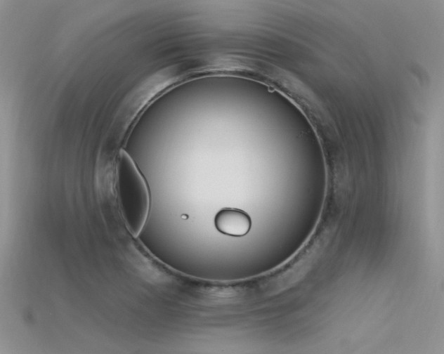 X0000115671177200911121146