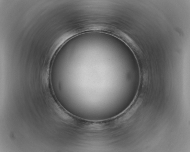 X0000115671178200911121146