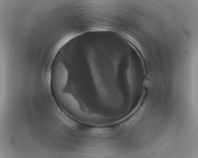 X0000115671179200911121146