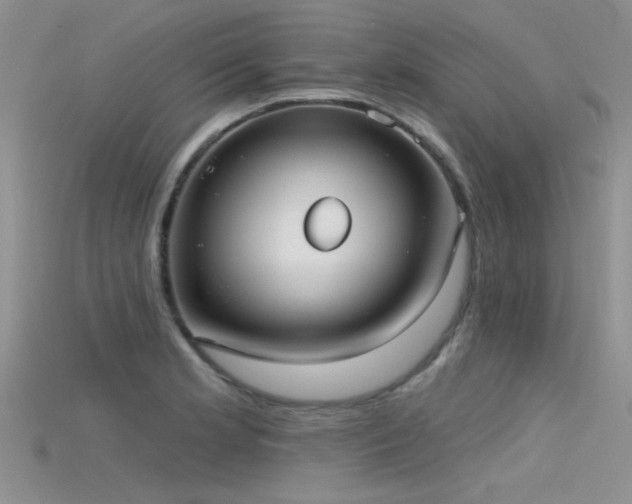 X0000115671181200911121146