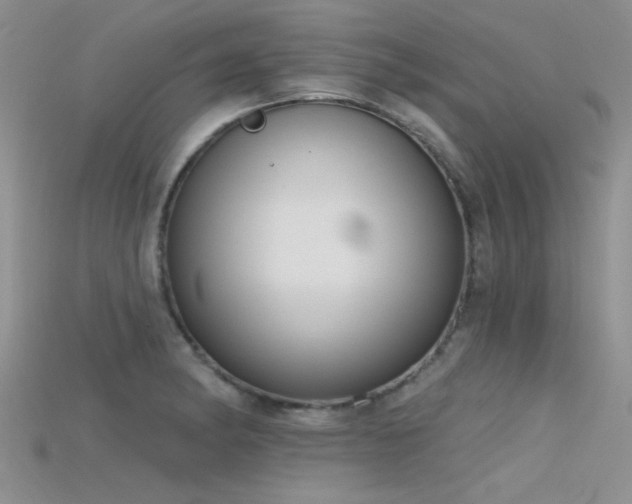 X0000115671182200911121146