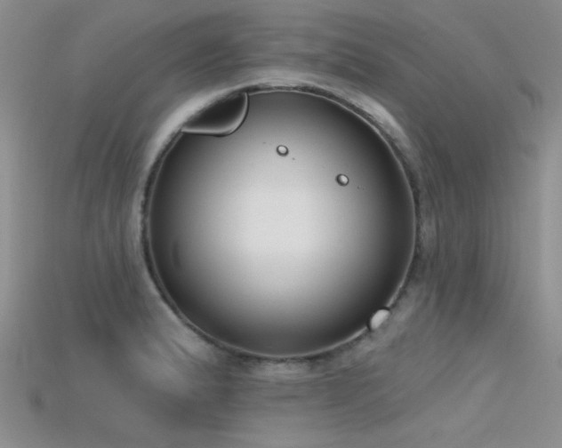 X0000115671183200911121146