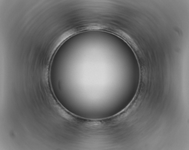X0000115671186200911121146