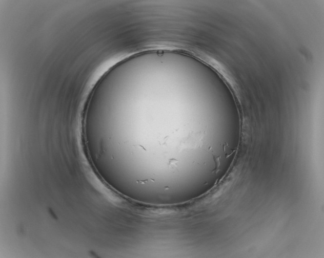 X0000115671187200911121146