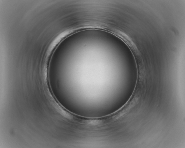 X0000115671188200911121146