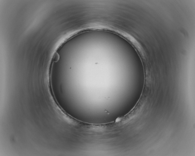 X0000115671191200911121146