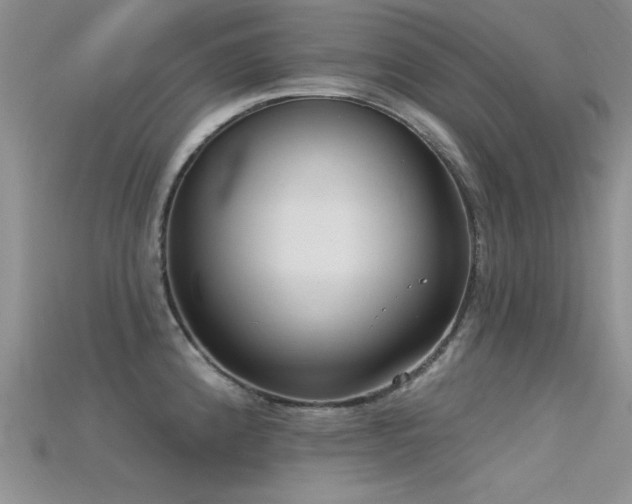 X0000115671192200911121146