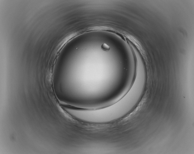 X0000115671193200911121146