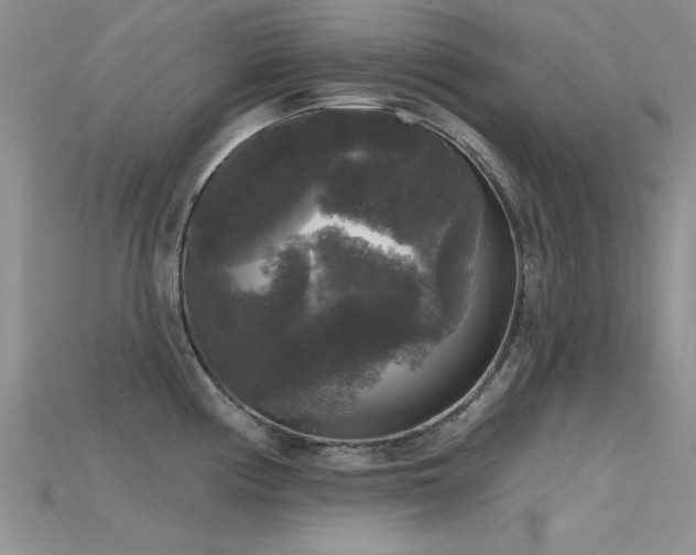 X0000115671194200911121146