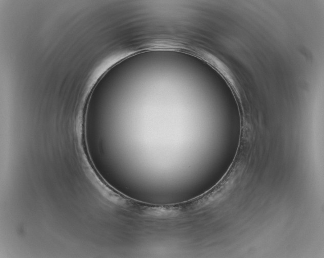 X0000115671195200911121146