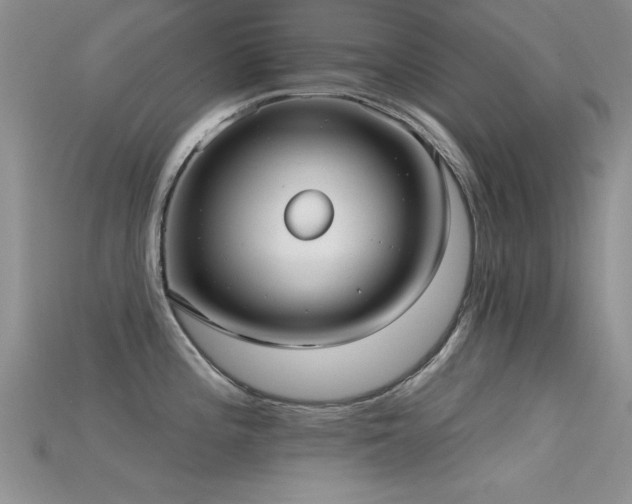 X0000115671196200911121146