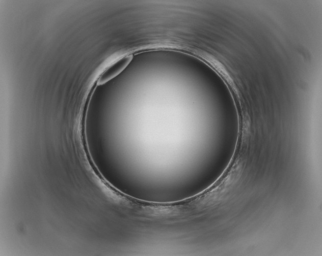 X0000115671197200911121146