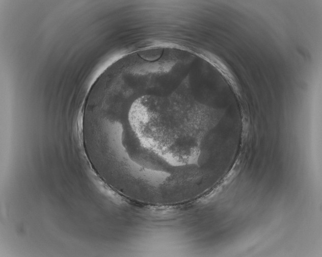 X0000115671198200911121146