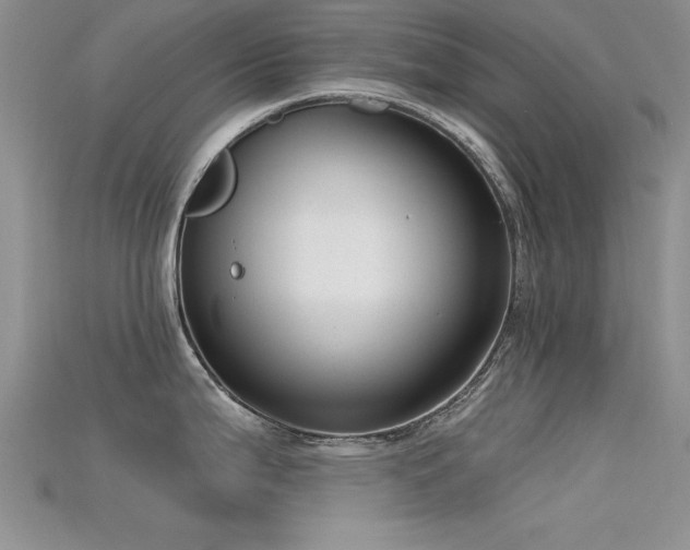 X0000115671199200911121146