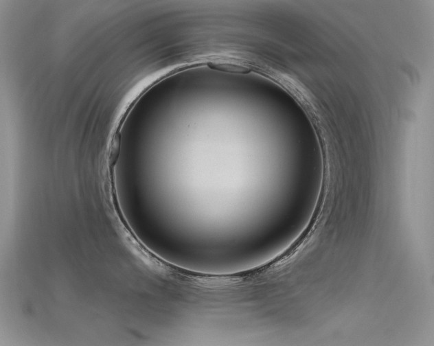 X0000115671200200911121146
