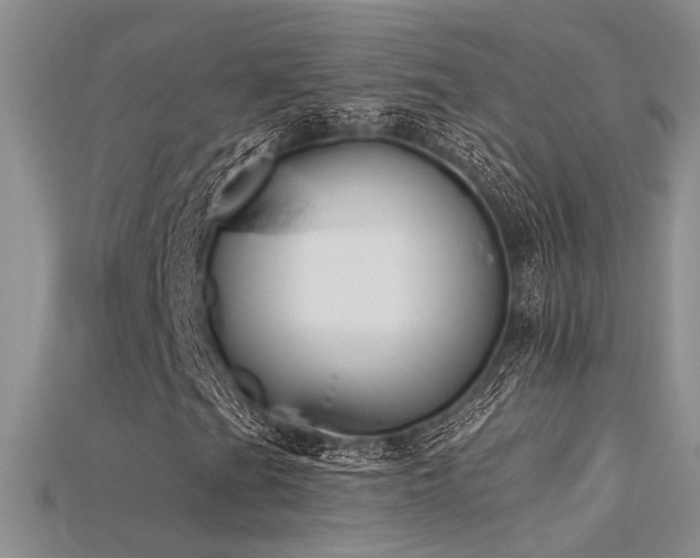 X0000115671201200911121145