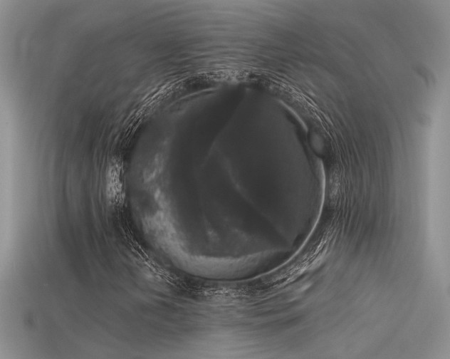 X0000115671202200911121145