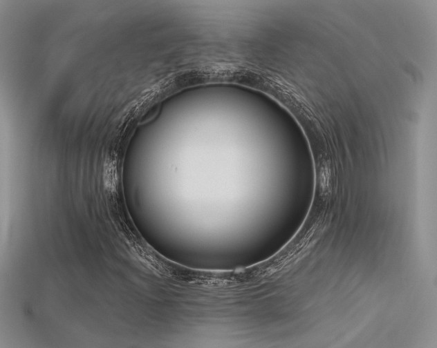 X0000115671204200911121145