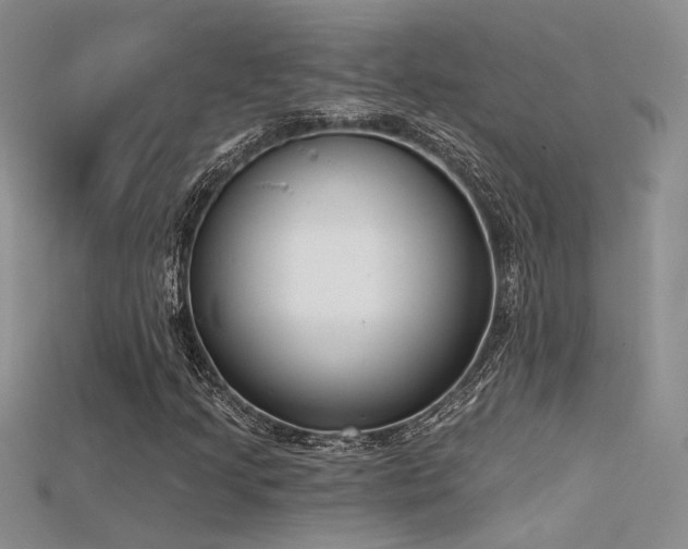 X0000115671205200911121145