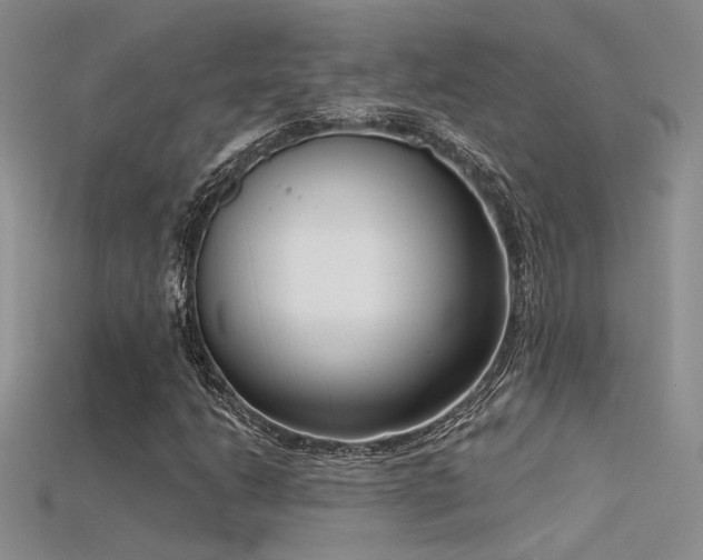 X0000115671206200911121145