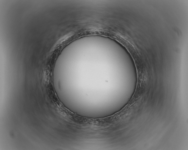 X0000115671207200911121145
