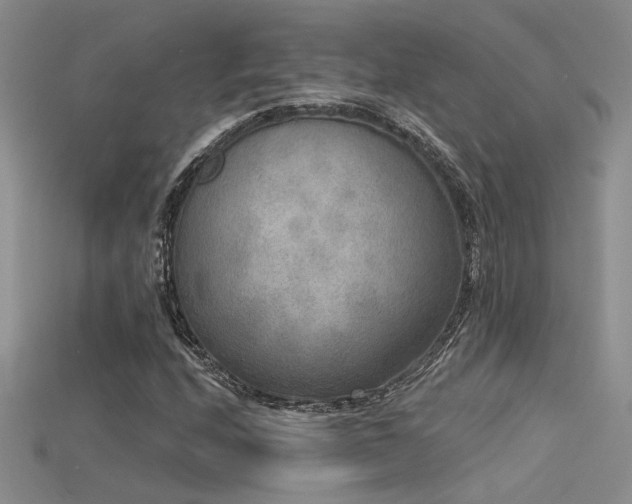 X0000115671208200911121145