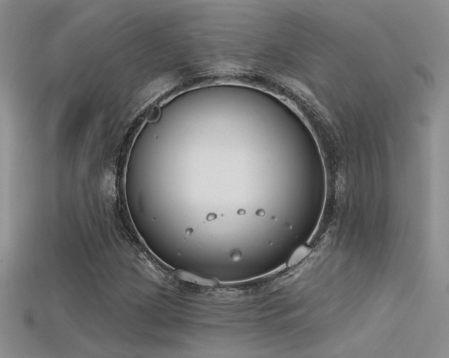 X0000115671209200911121145